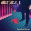 Sheer Terror ‎- Standing Up For Falling Down CD