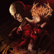 Bloodbath – Nightmares Made Flesh LP