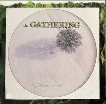 The Gathering – Nighttime Birds PICLP + Jacket and insert
