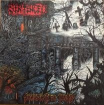 Sentenced ‎– Shadows Of Past LP (2017rp, snow-clear)