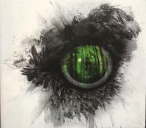 Swallow The Sun ‎– Emerald Forest And The Blackbird CD