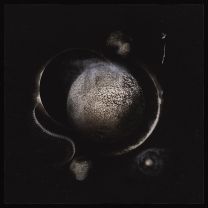 Enthroned ‎– Cold Black Suns 