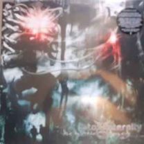 Into Eternity ‎– The Incurable Tragedy LP (Red / Gray Vinyl)